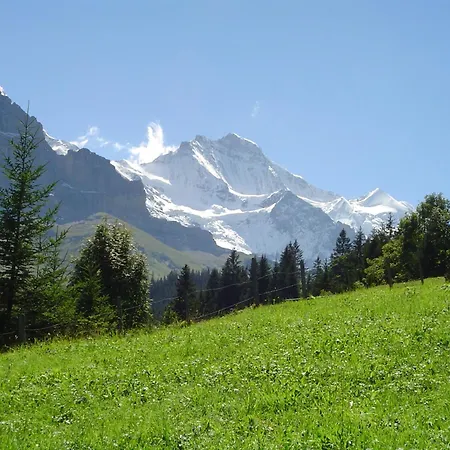 Tschuggen