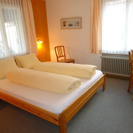 茨出根酒店 酒店 格林德瓦