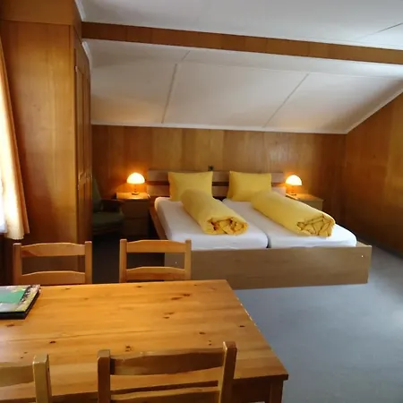 茨出根酒店 2* 格林德瓦