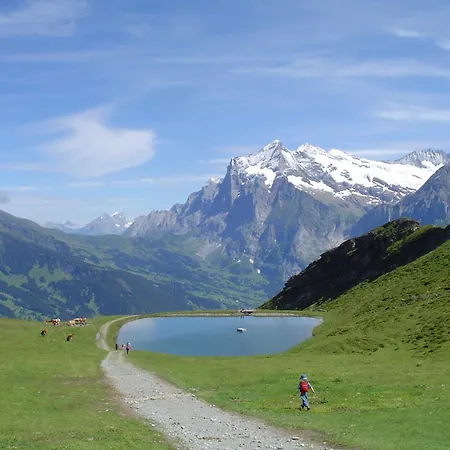 茨出根酒店 格林德瓦