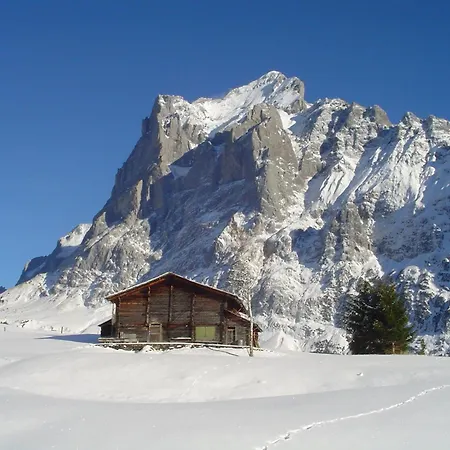 茨出根酒店 格林德瓦