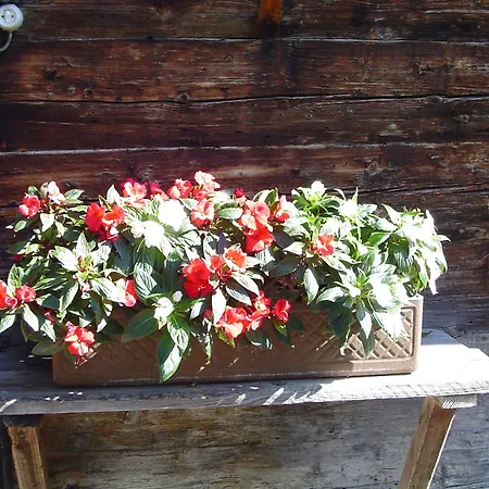 茨出根酒店 格林德瓦