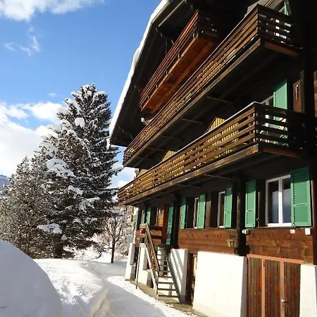 茨出根酒店 2* 格林德瓦