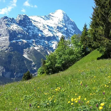 Hotell Tschuggen Grindelwald