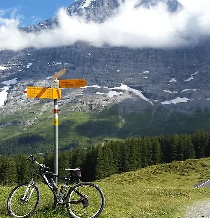 茨出根酒店 2* 格林德瓦