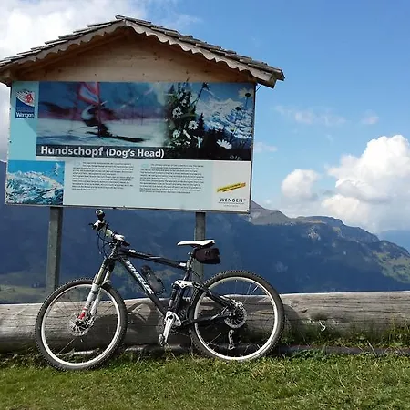 茨出根酒店 酒店