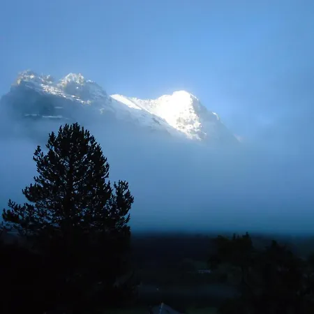 茨出根酒店 格林德瓦