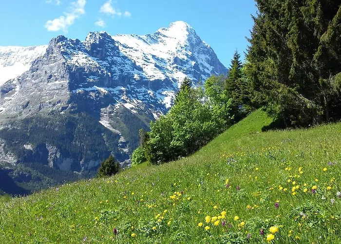 Otel Tschuggen Grindelwald