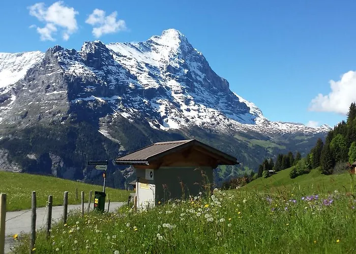 Otel Tschuggen Grindelwald